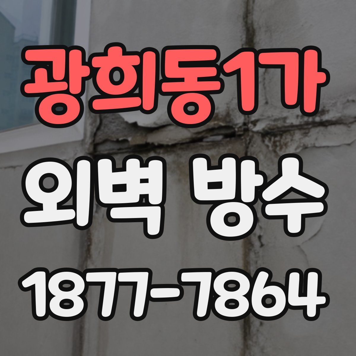 광희동1가 외벽 방수