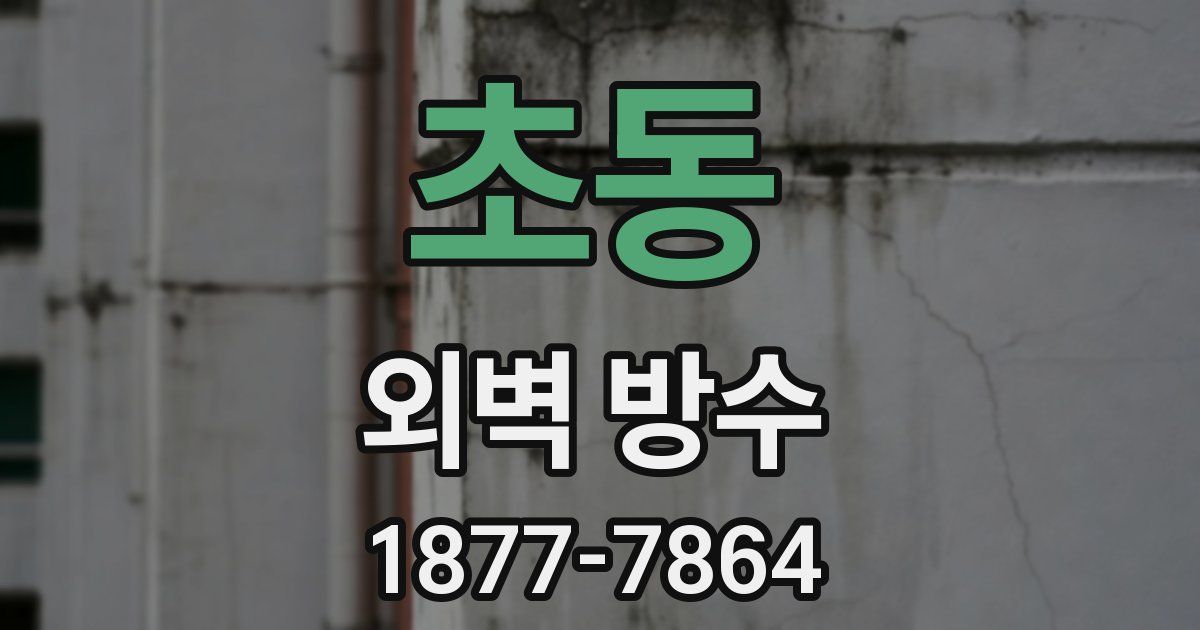 초동 외벽 방수