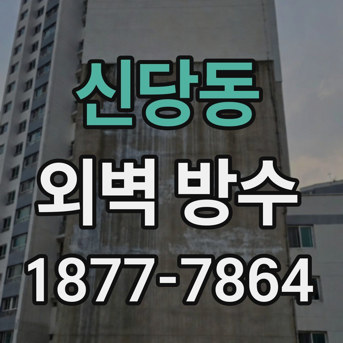 신당동 외벽 방수