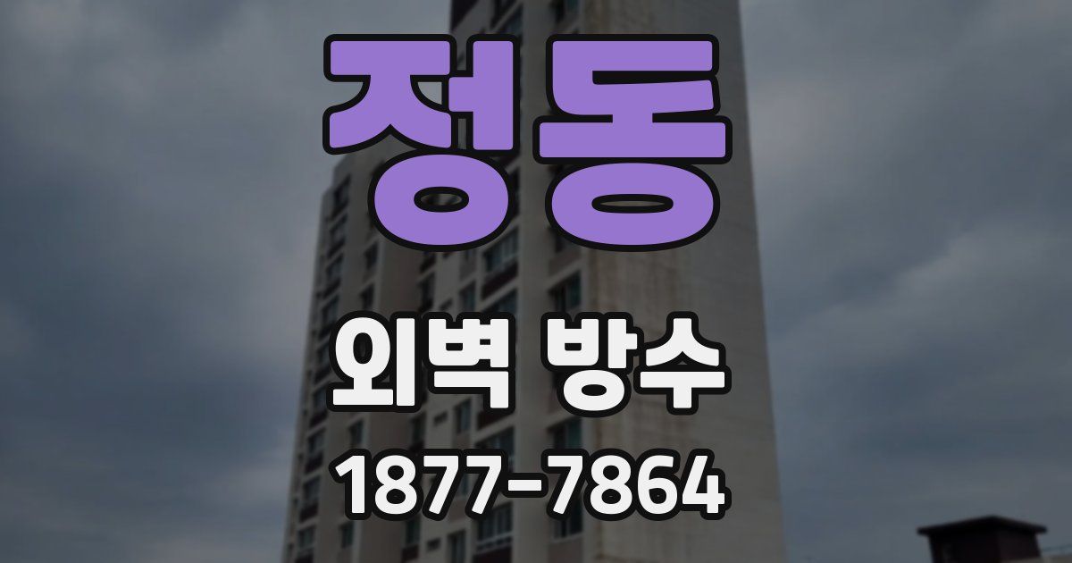 정동 외벽 방수