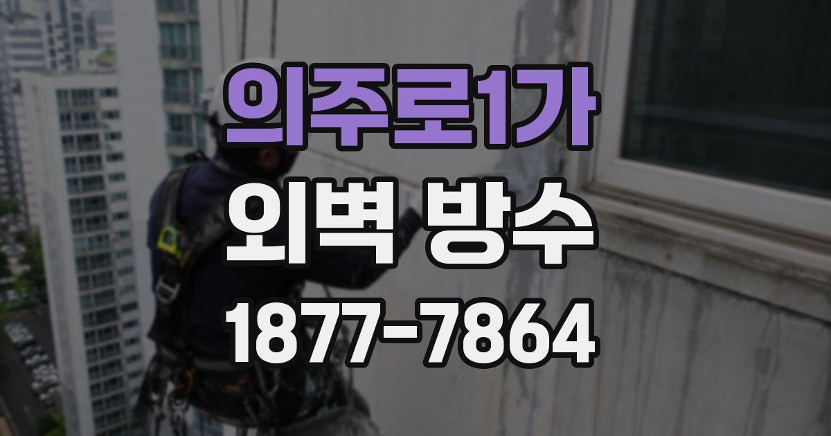 의주로1가 외벽 방수