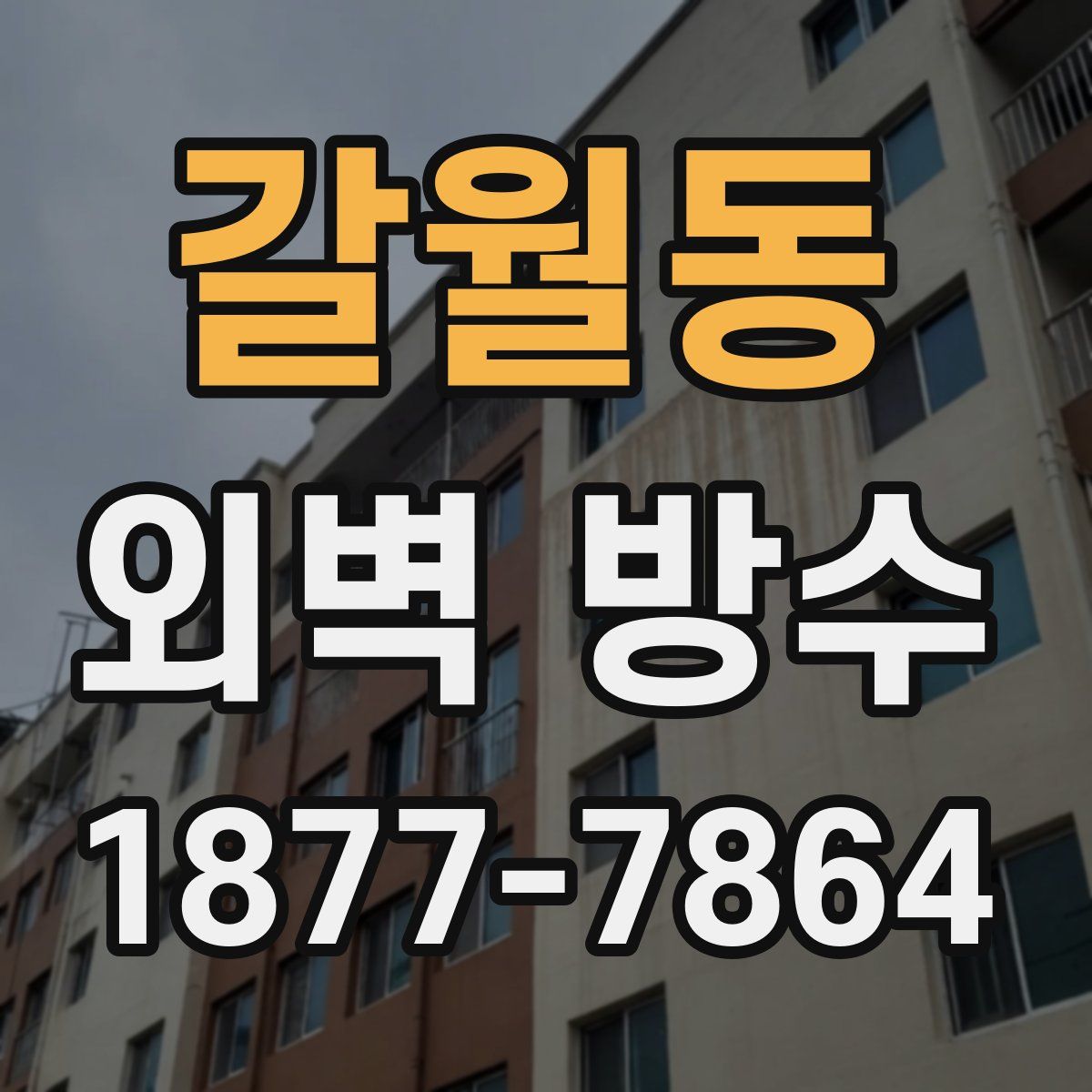 갈월동 외벽 방수