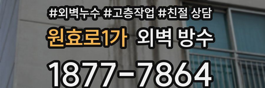 원효로1가 외벽 방수