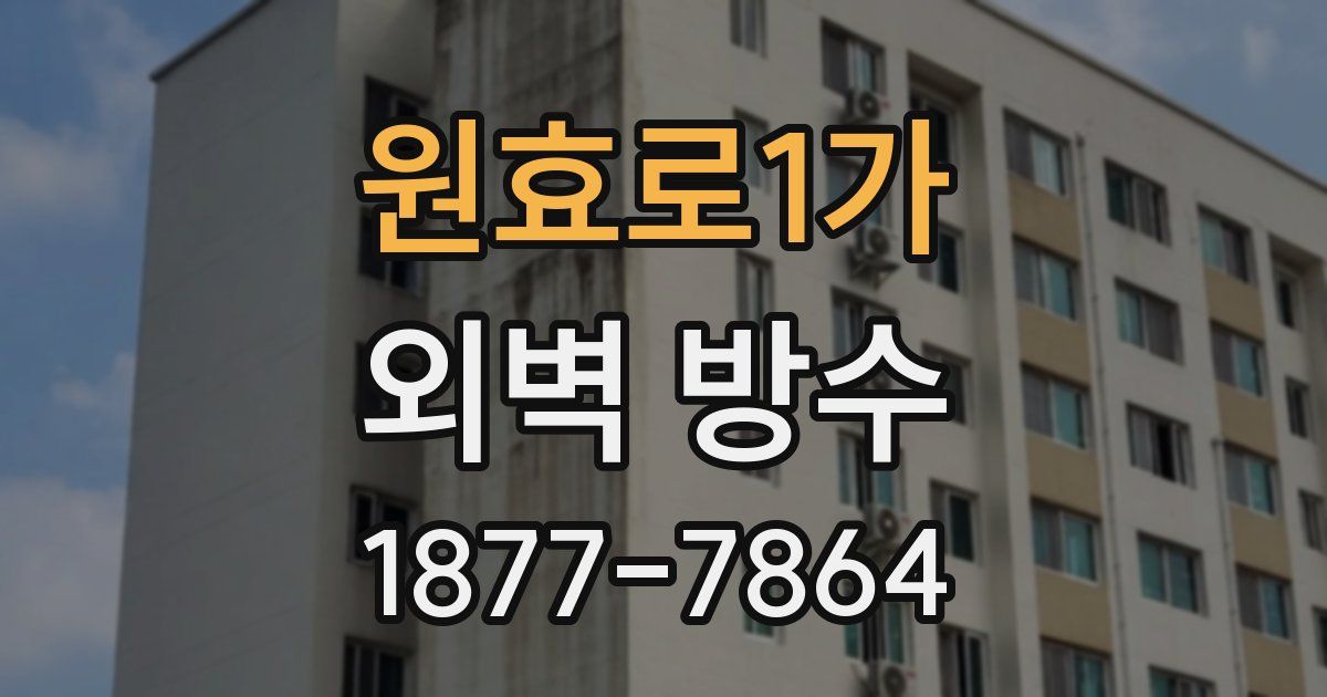 원효로1가 외벽 방수