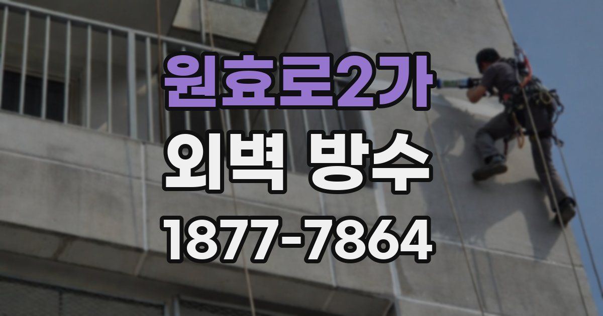 원효로2가 외벽 방수