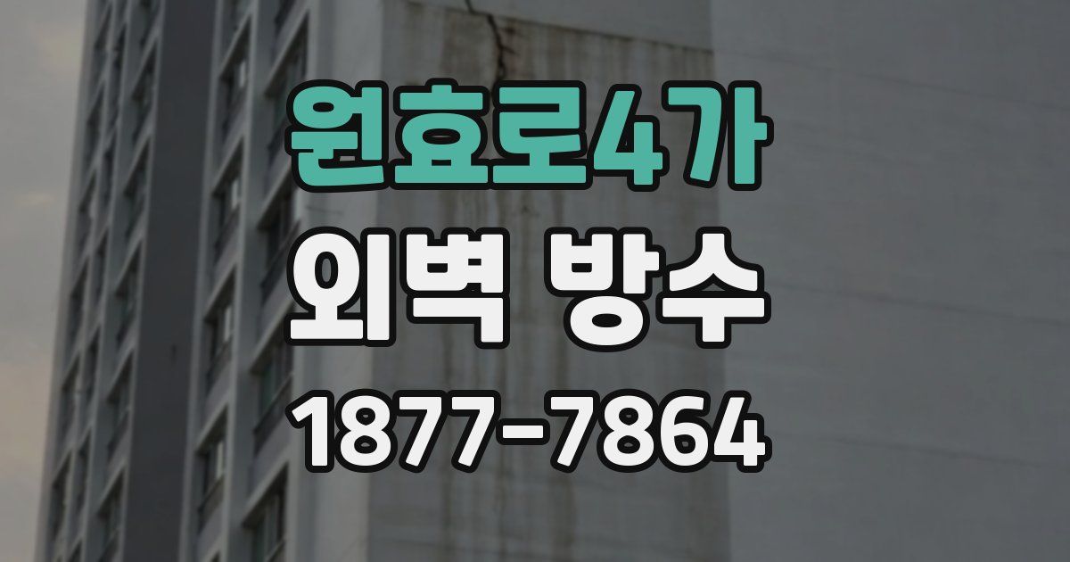 원효로4가 외벽 방수