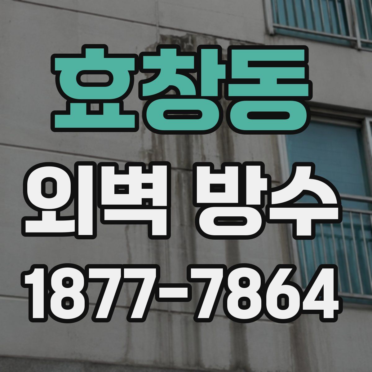 효창동 외벽 방수