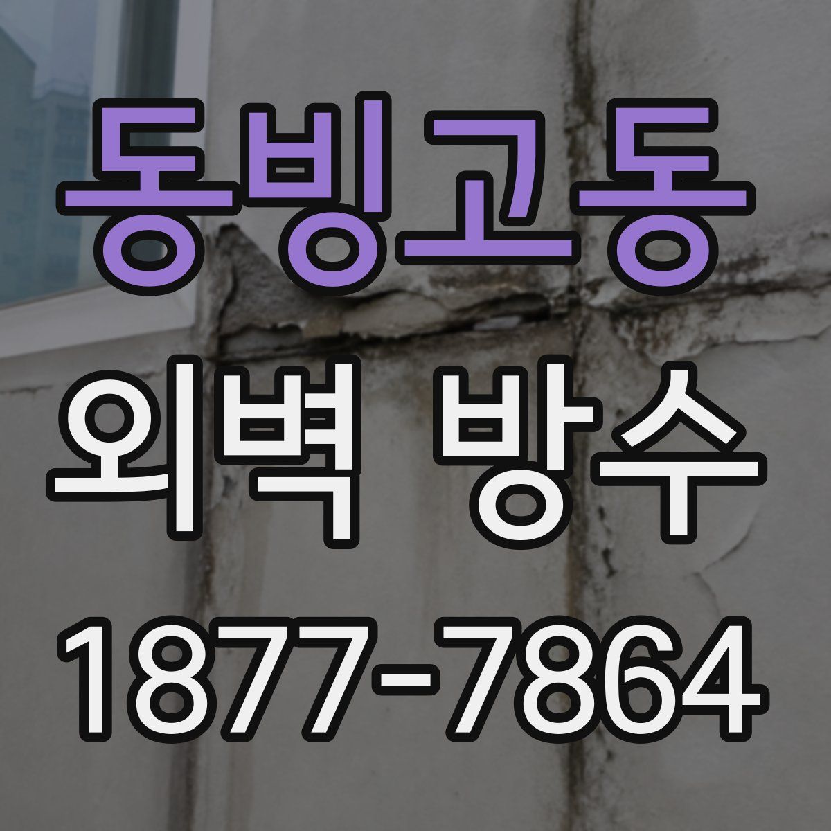 동빙고동 외벽 방수
