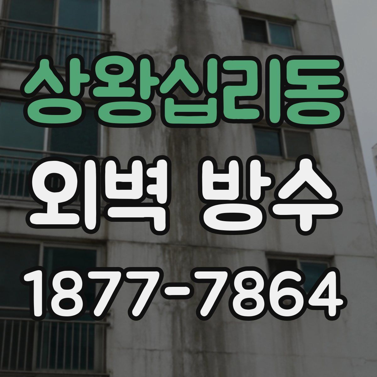 상왕십리동 외벽 방수