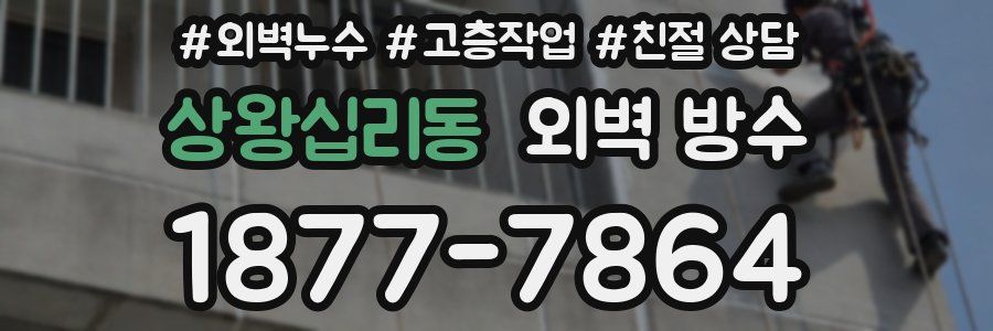 상왕십리동 외벽 방수