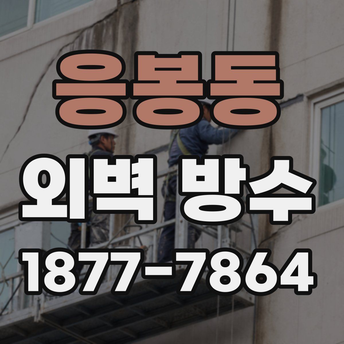 응봉동 외벽 방수