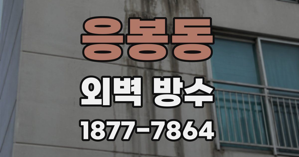 응봉동 외벽 방수