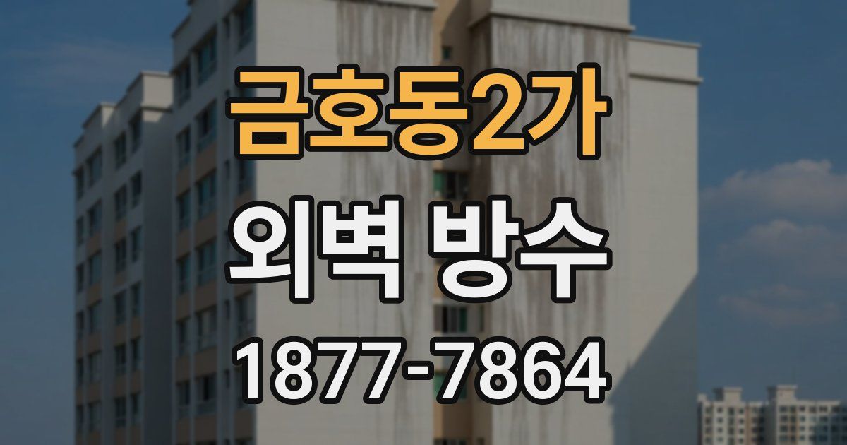 금호동2가 외벽 방수