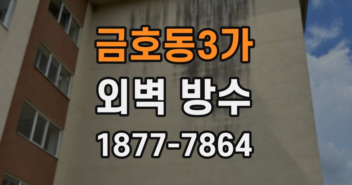 금호동3가 외벽 방수
