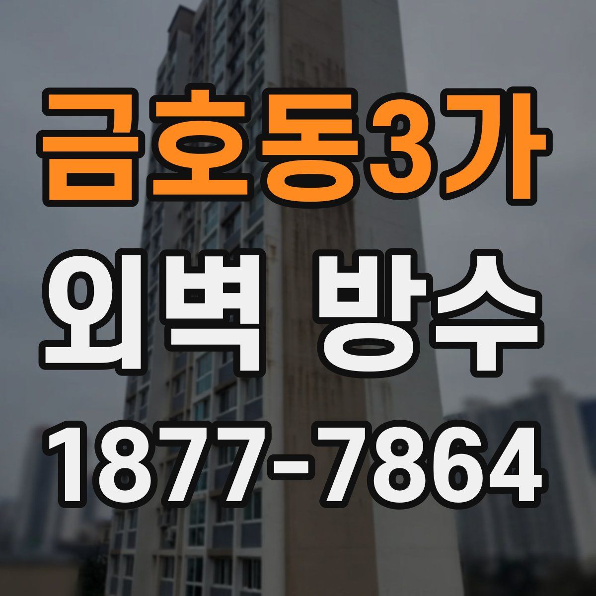 금호동3가 외벽 방수