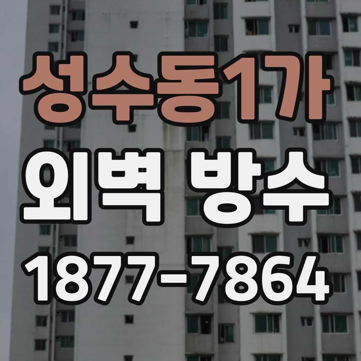 성수동1가 외벽 방수
