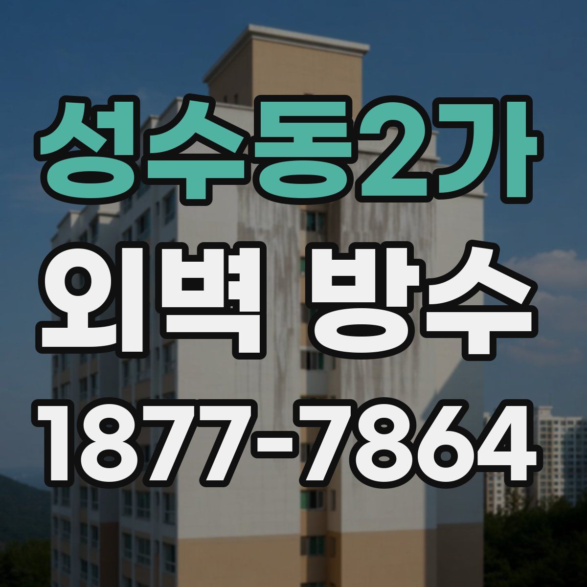 성수동2가 외벽 방수