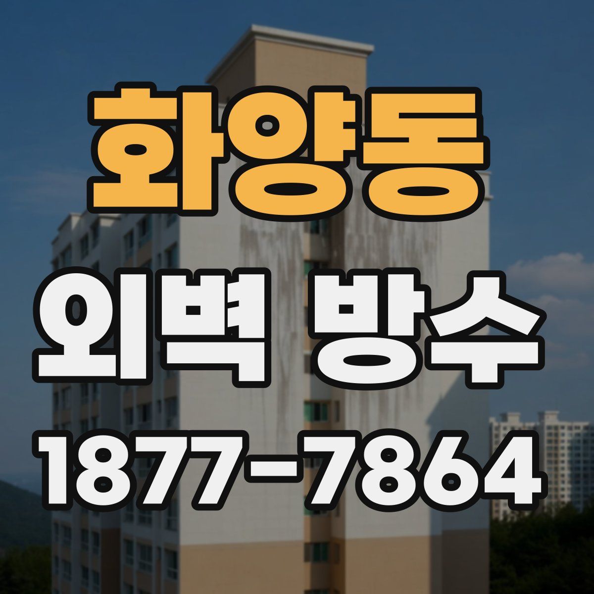 화양동 외벽 방수