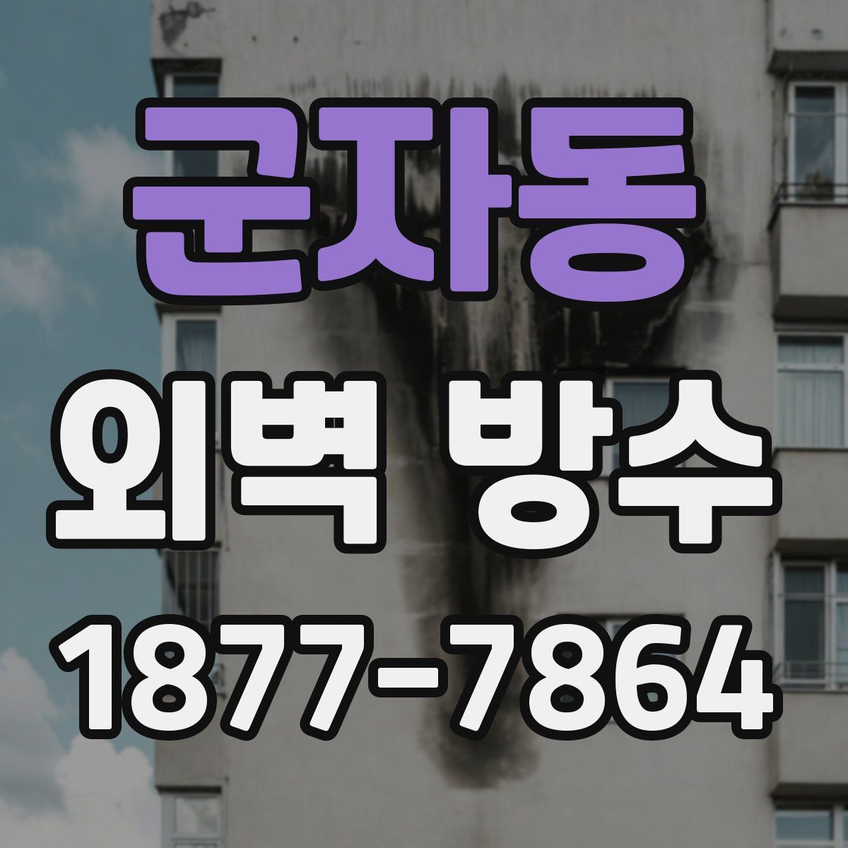 군자동 외벽 방수