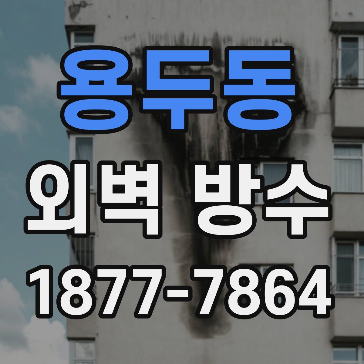 용두동 외벽 방수