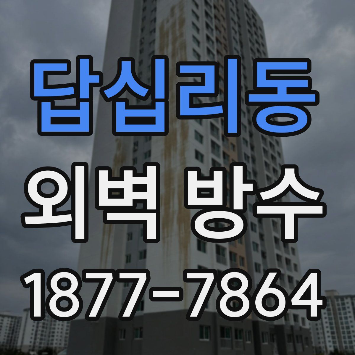 답십리동 외벽 방수