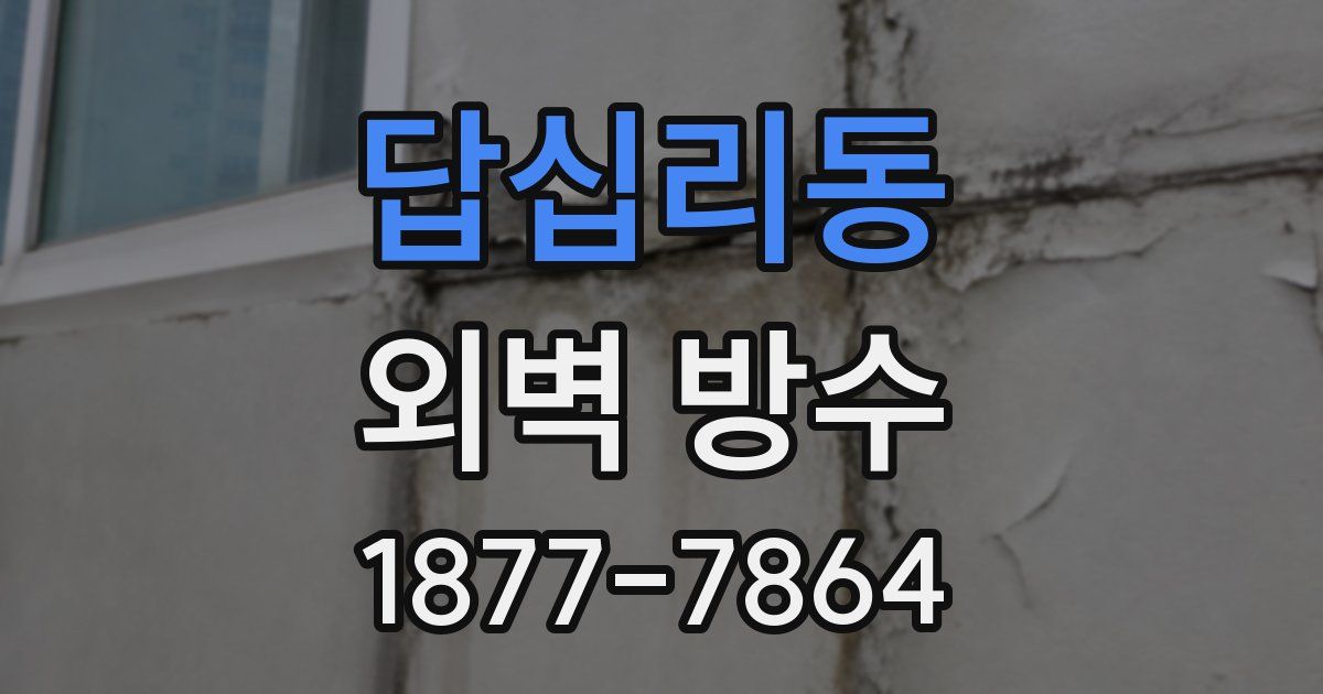 답십리동 외벽 방수