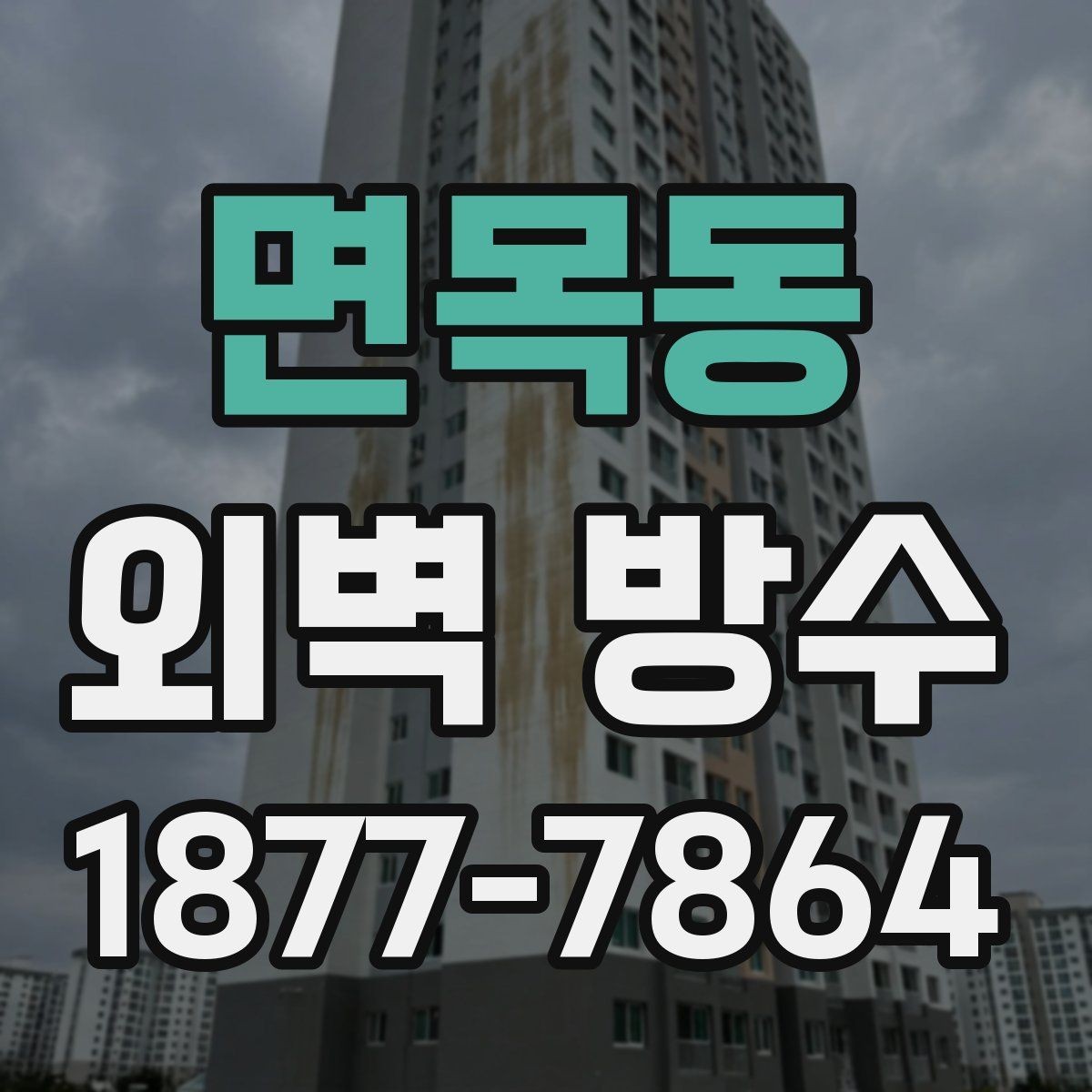 면목동 외벽 방수 비용을 좌우하는 조건들