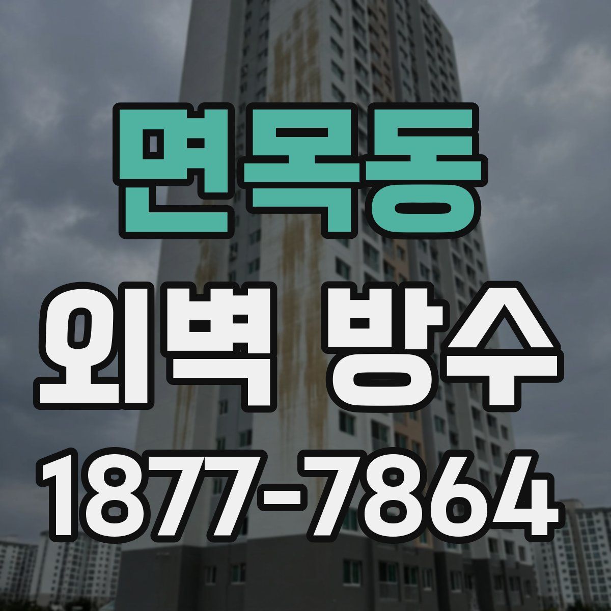 면목동 외벽 방수
