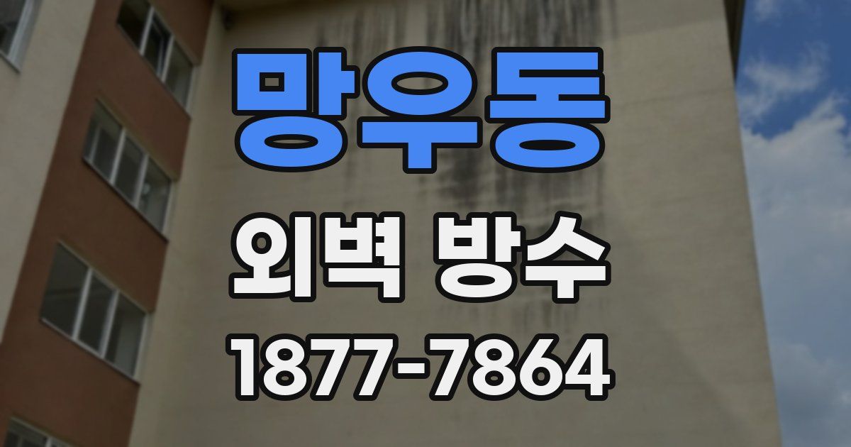 망우동 외벽 방수