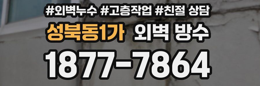 성북동1가 외벽 방수