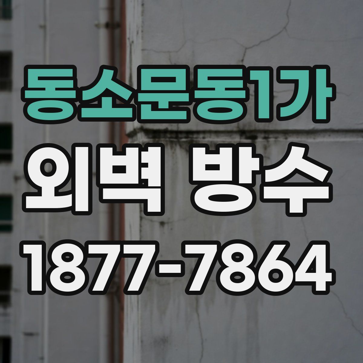 동소문동1가 외벽 방수