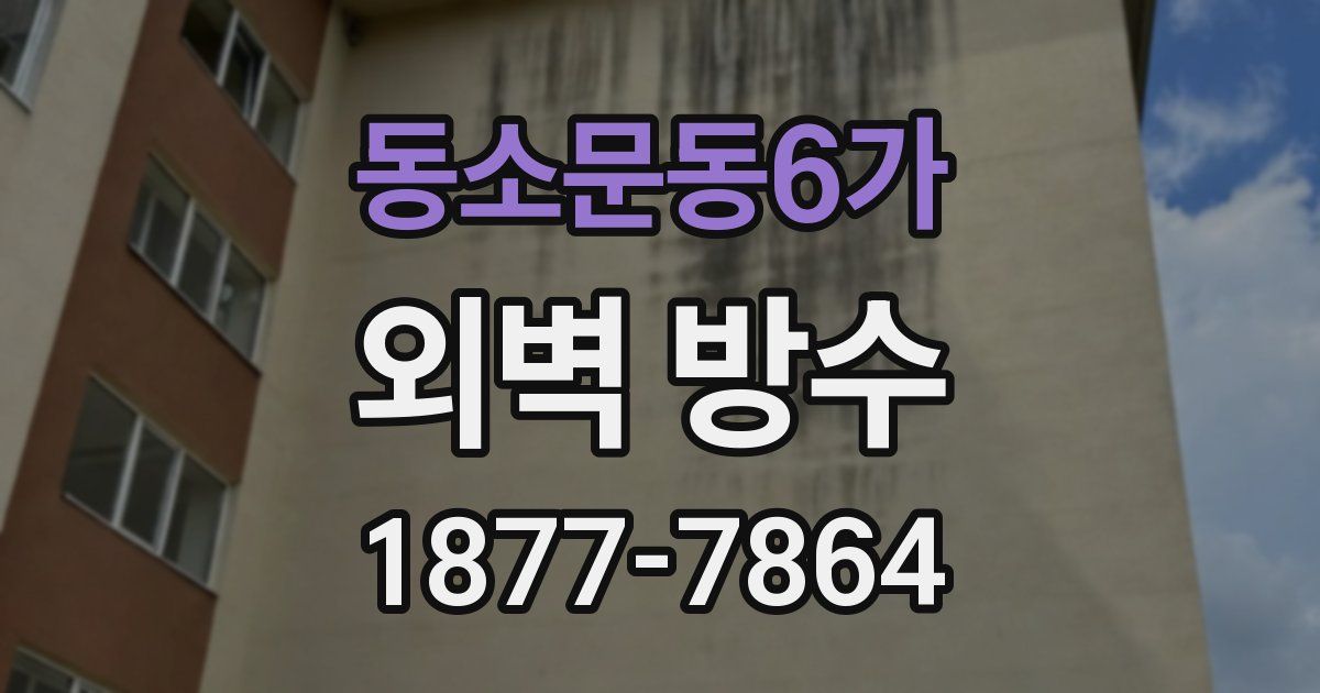 동소문동6가 외벽 방수