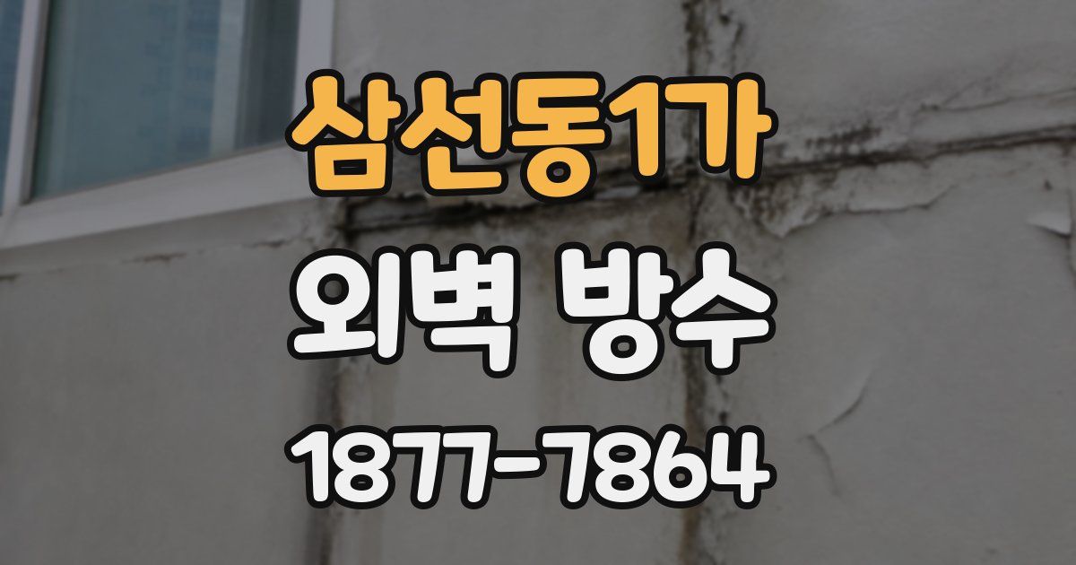 삼선동1가 외벽 방수