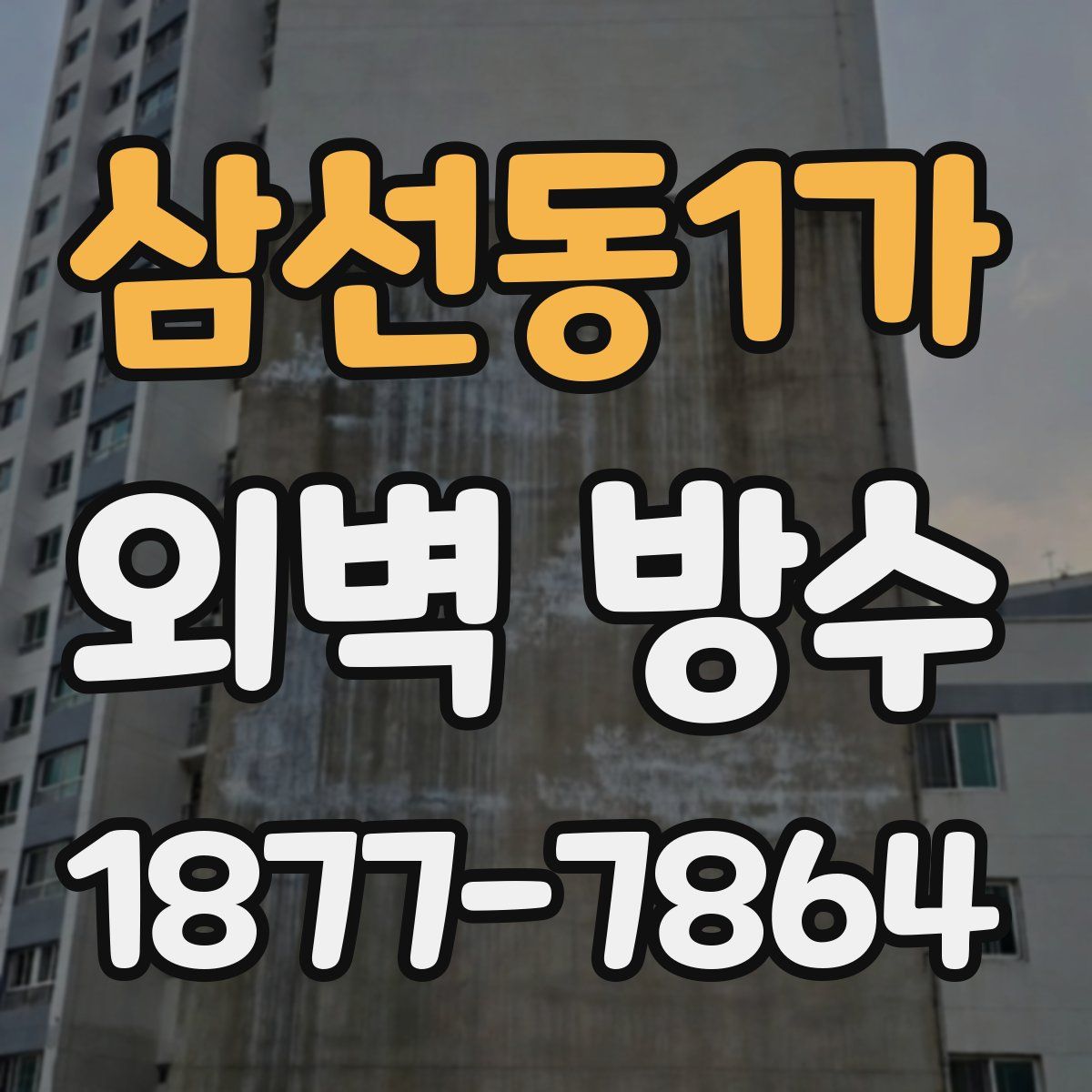 삼선동1가 외벽 방수
