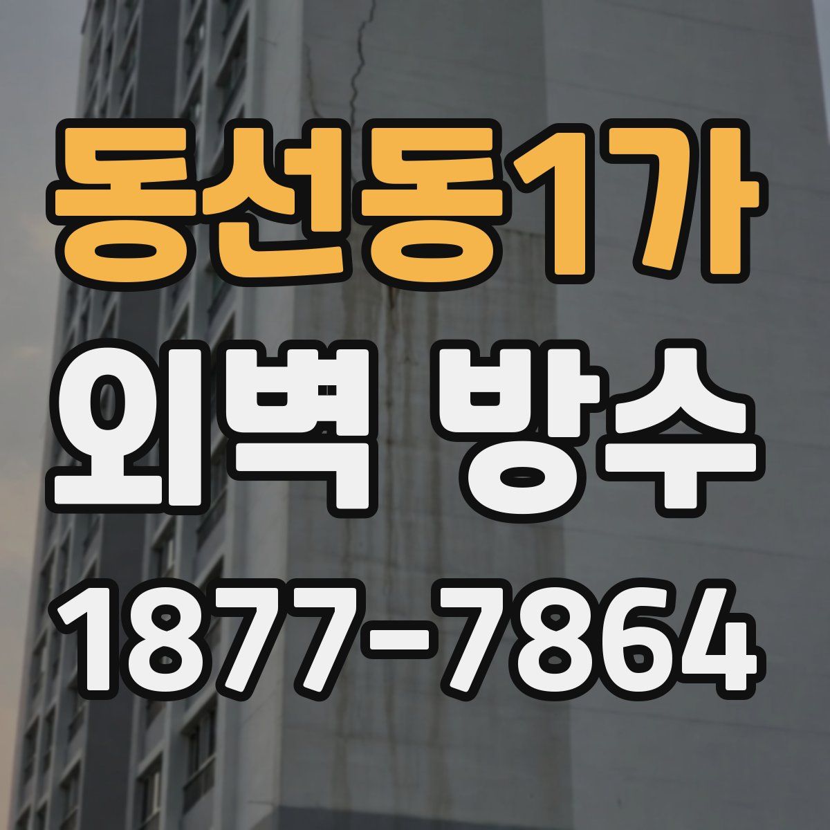 동선동1가 외벽 방수