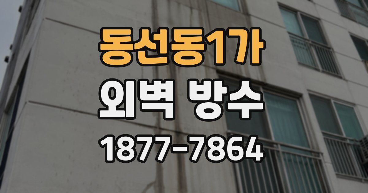 동선동1가 외벽 방수
