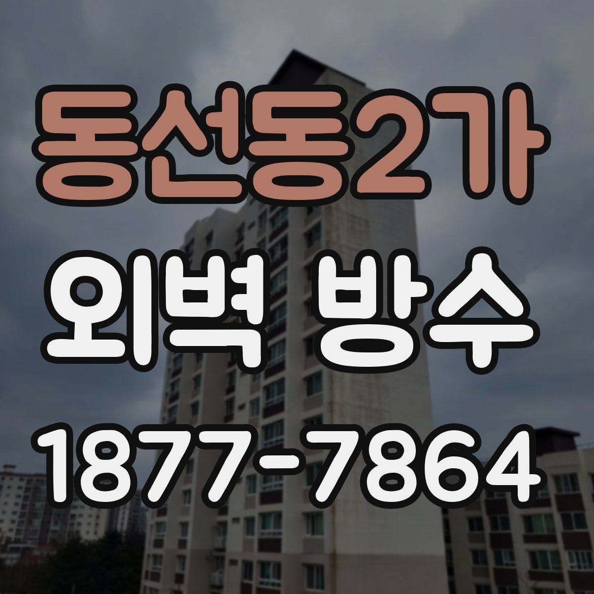 동선동2가 외벽 방수