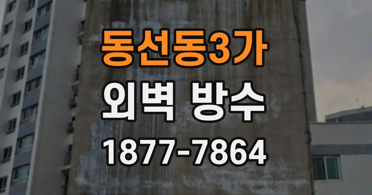 동선동3가 외벽 방수