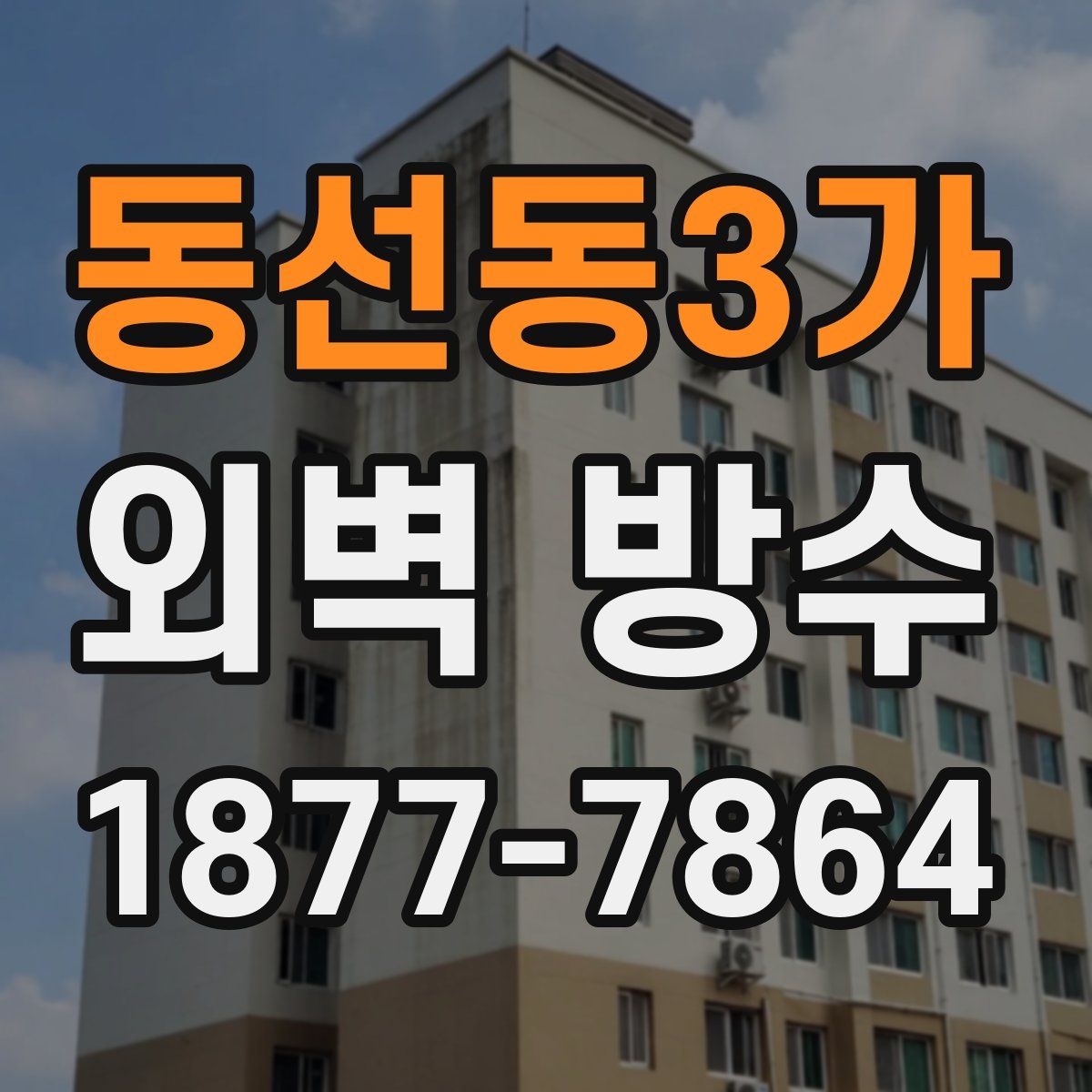 동선동3가 외벽 방수