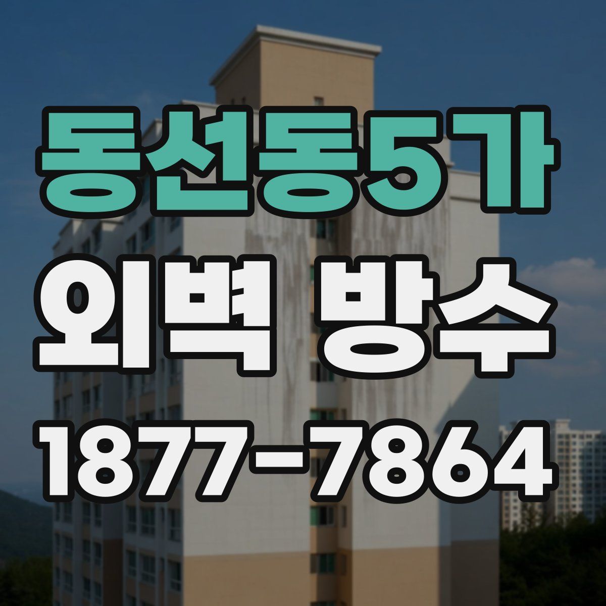 동선동5가 외벽 방수