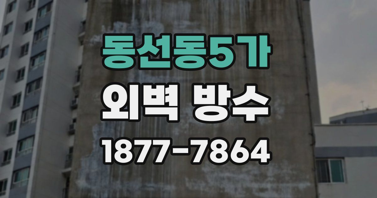 동선동5가 외벽 방수