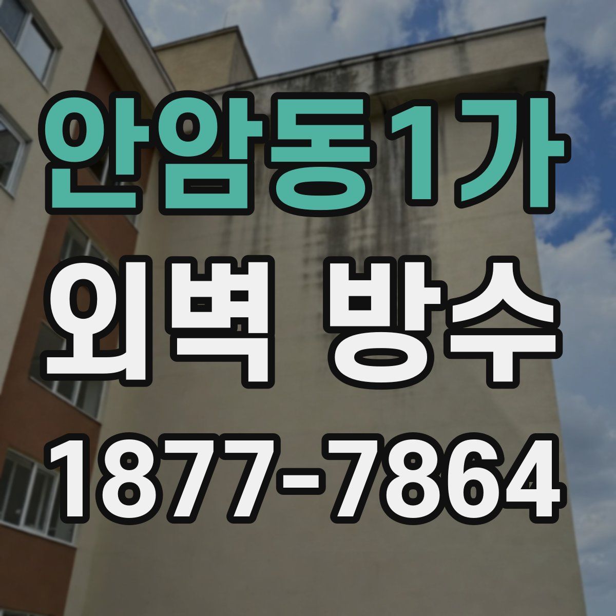 안암동1가 외벽 방수