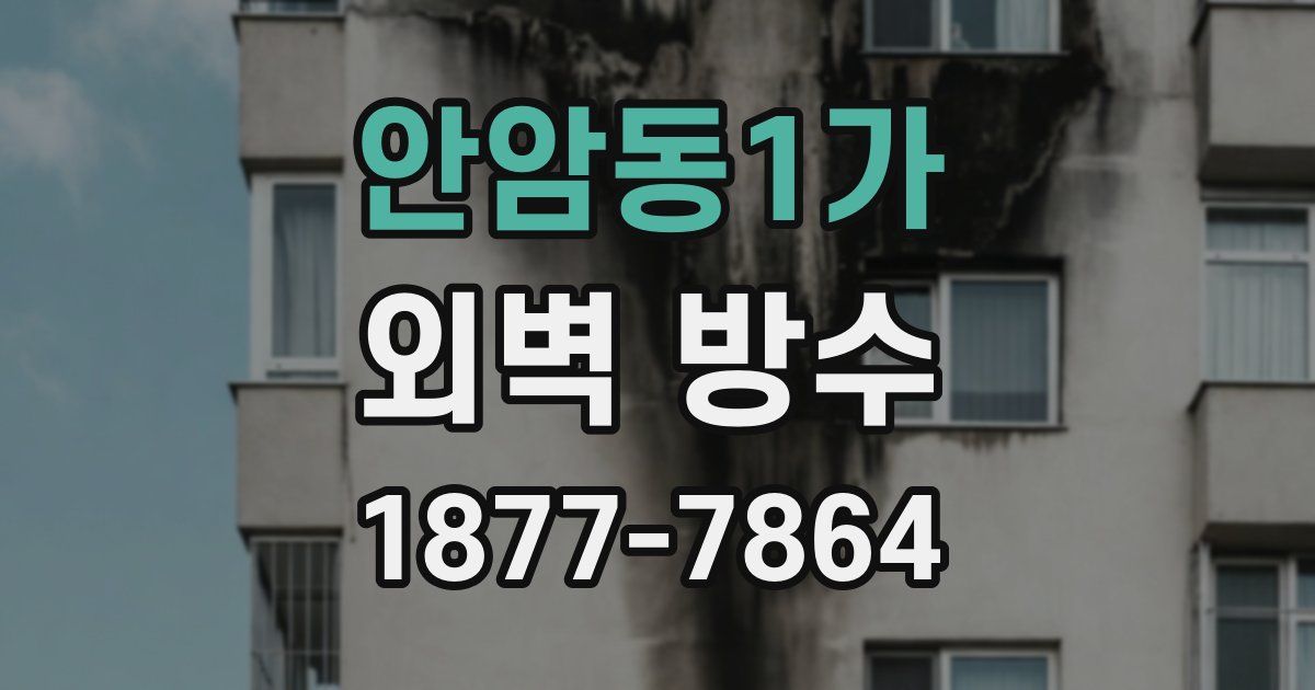 안암동1가 외벽 방수