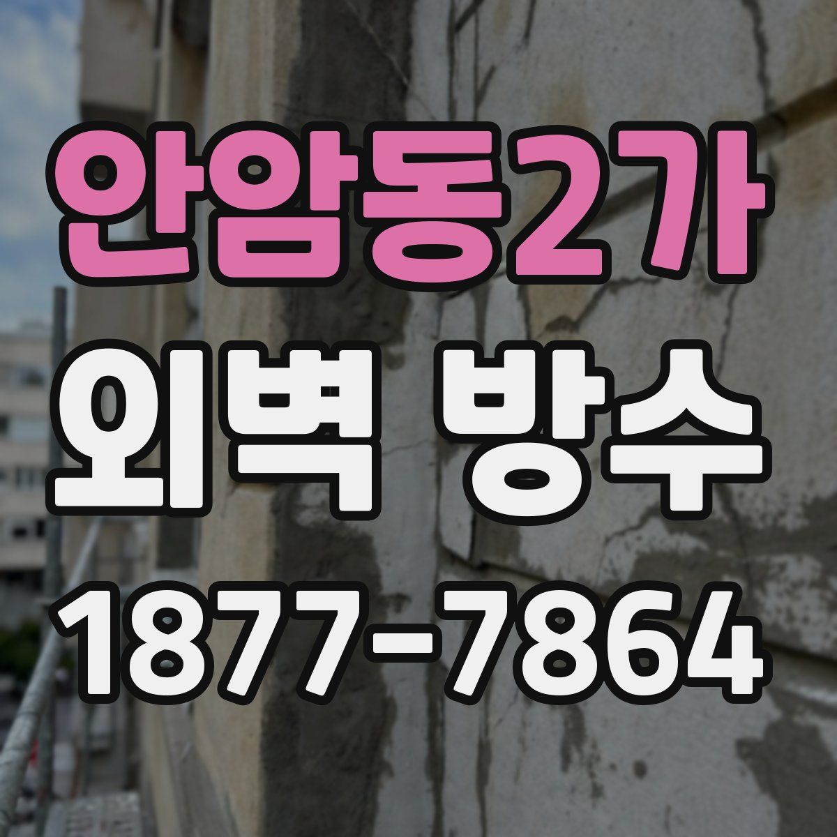 안암동2가 외벽 방수
