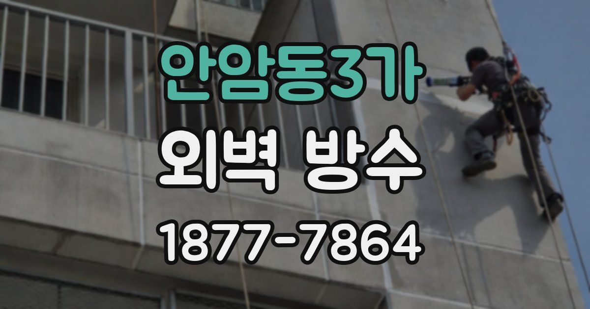안암동3가 외벽 방수