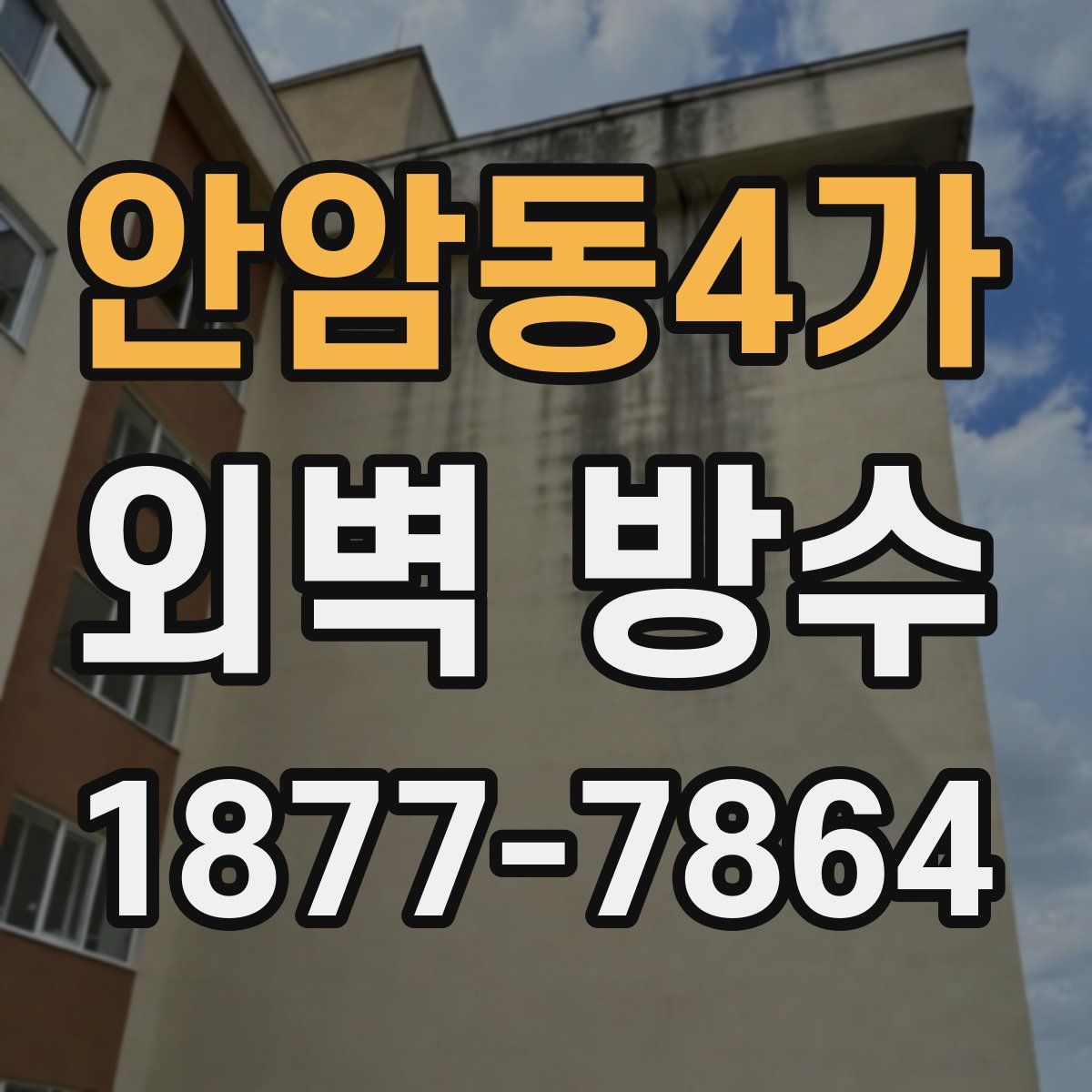 안암동4가 외벽 방수