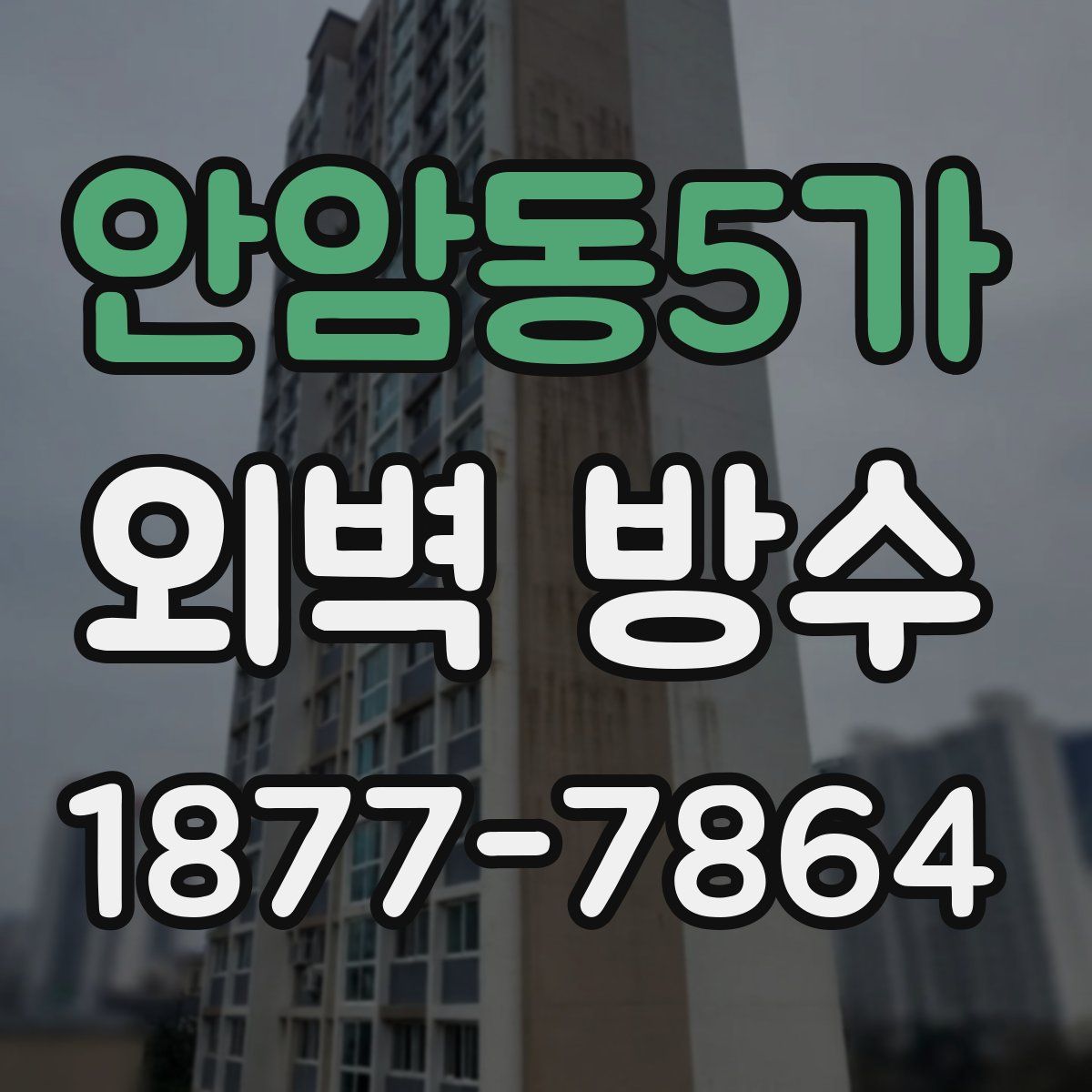 안암동5가 외벽 방수