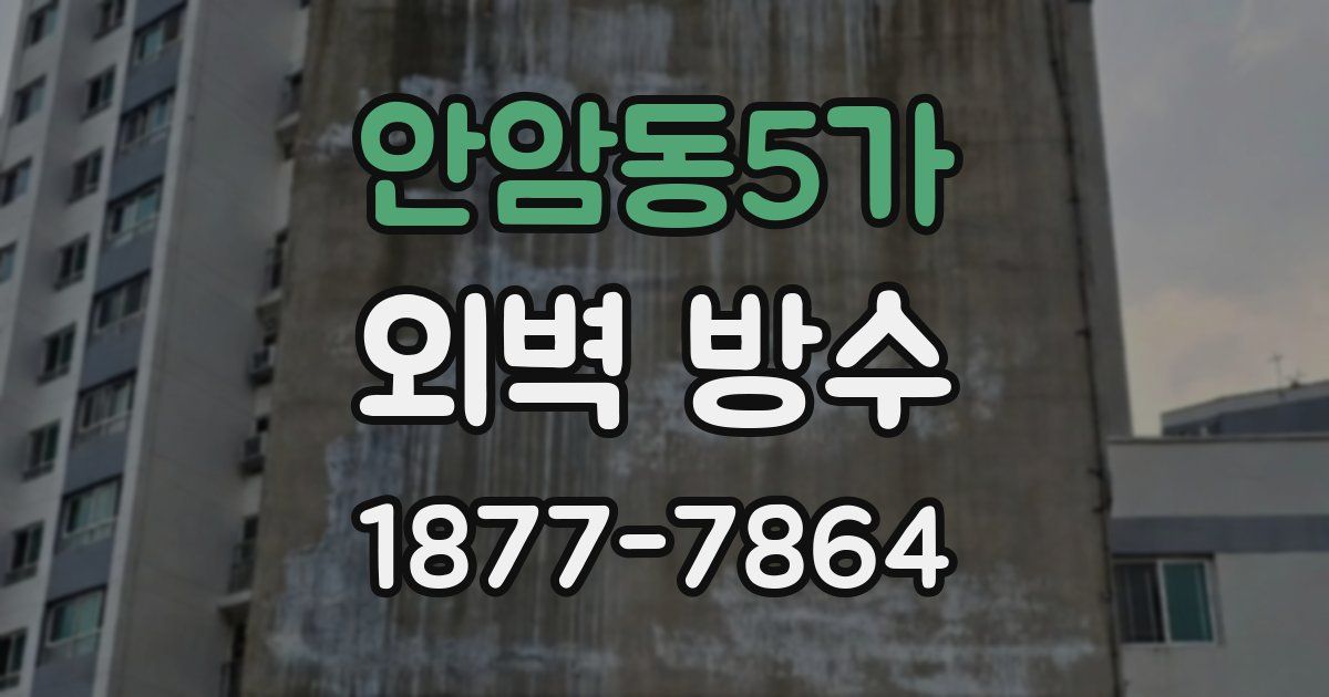안암동5가 외벽 방수