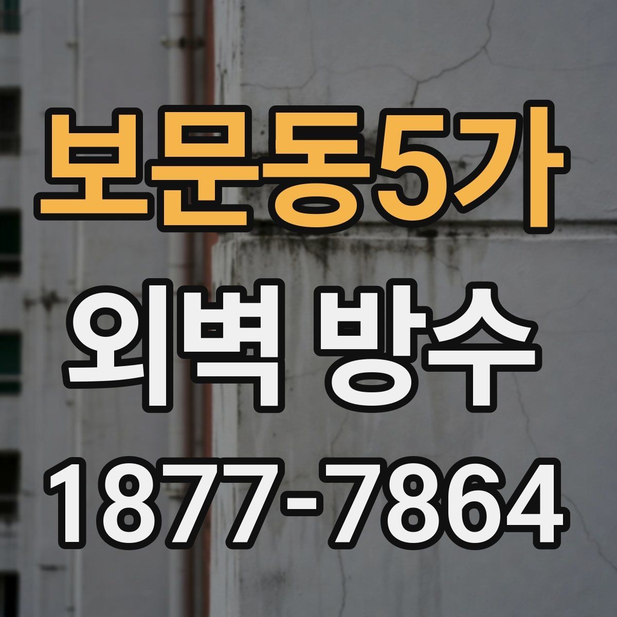 보문동5가 외벽 방수 시공 순서와 작업 단계 정리