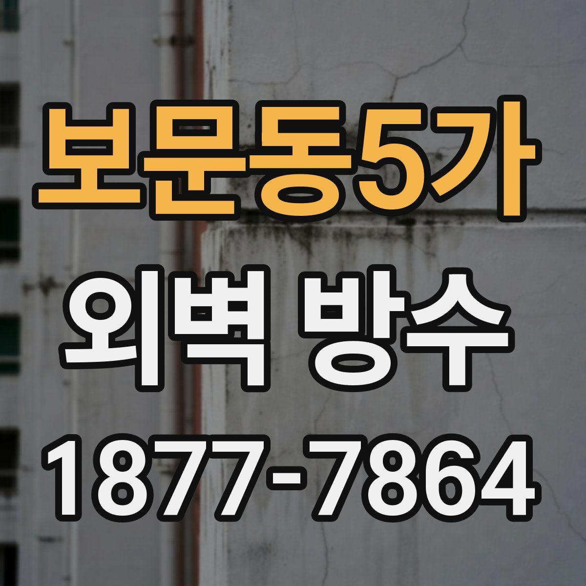 보문동5가 외벽 방수